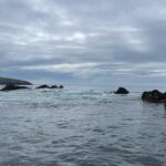 Princess Eugenie Instagram - Today is #worldoceansday a day we have to herald the ocean for the amazing place it is. Yesterday I was lucky enough to be on the Welsh coast visiting @car_y_mor site in Wales. This regenerative ocean farm, supported by @wwf_uk is such a wonderful volunteer supported, community owned project that looks to deliver no-input, low-impact marine farming. Farming seaweed is a very efficient way to produce nutritious food (the seaweed burger was particularly good), fertilise crops and feed animals as well as giving new habitats to marine life. WWF's seaweed solutions project aims to accelerate the growth of regenerative ocean farming to improve biodiversity, sequester carbon and to provide products for use in food, feed and bioplastics. Thank you to you all for such a wonderful day on our special ocean @wwf_uk @car_y_mor @pcfcic @falcon_boats