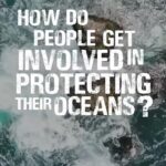 Princess Eugenie Instagram - Sometimes it's hard to know what to do to protect our oceans.. Jasmin had some helpful thoughts and advice to share with anyone who might need some help. @miss_elasmo