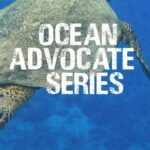 Princess Eugenie Instagram - As we celebrate #worldoceansday and in the lead up to the UN ocean conference in a few weeks, I've been talking to some of the worlds leading ocean advocates about their journey to protect the ocean and learning about how we can all do our bit to protect this integral part of our world. Please tune in over the next couple of weeks to hear from these remarkable people who are protecting the ocean and the wildlife in it, from oysters to sharks. We can support and care for the ocean like one of our own. Proud ambassador of @bluemarinefoundation
