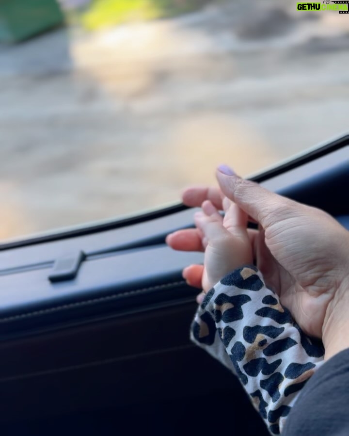 Priyanka Chopra Instagram - The magic of nature. Her first hike. She touched everything, jumped in puddles till she was muddy till her knees. To witness her in real time experiencing everything for the first time.. is just her magic dust that she sprinkles in my life every day. ❤️😍🙏🏽 Topanga State Park