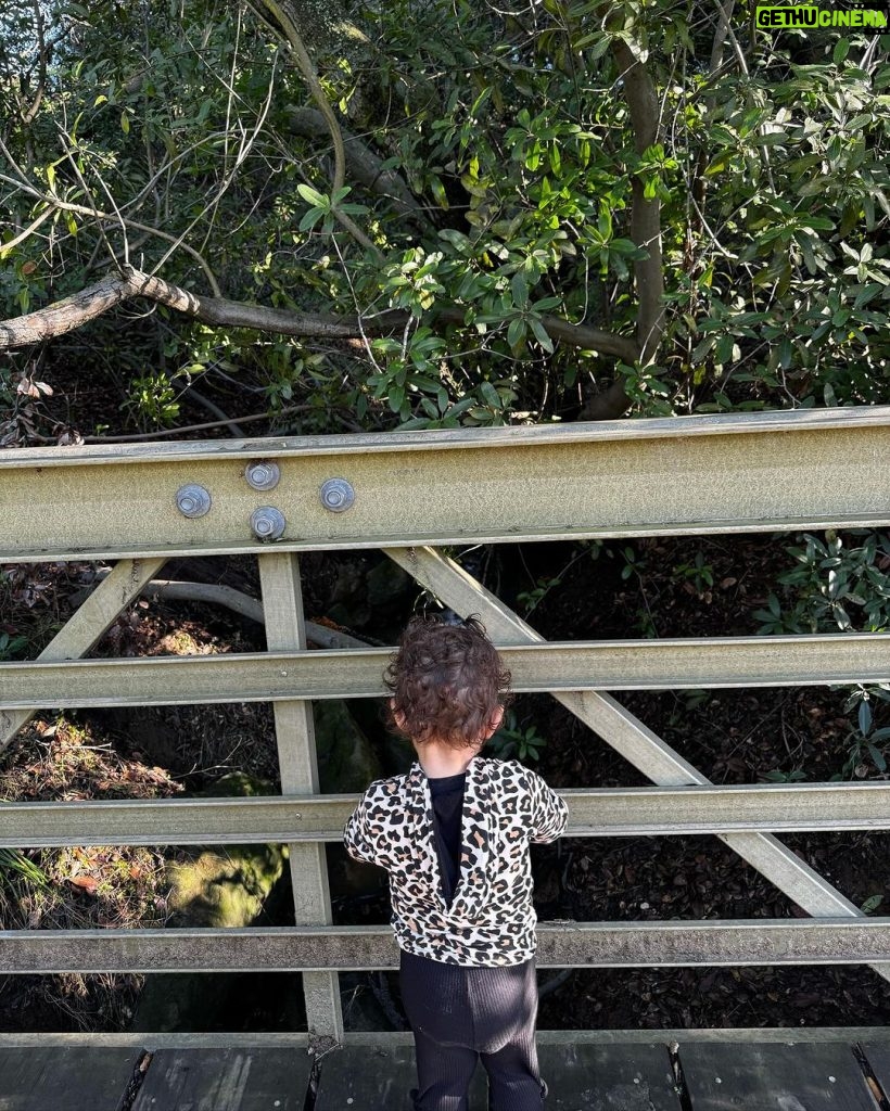 Priyanka Chopra Instagram - The magic of nature. Her first hike. She touched everything, jumped in puddles till she was muddy till her knees. To witness her in real time experiencing everything for the first time.. is just her magic dust that she sprinkles in my life every day. ❤️😍🙏🏽 Topanga State Park