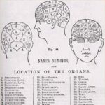 Questlove Instagram - Time to buy Phrenology a drank. Happy 21st!