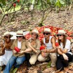 Rafa Brites Instagram - Rota do cacau. Tive ume experiência linda para conhecer o programa #Cocoaplan que tem como o objetivo fomentar e implementar práticas regenerativas e sustentáveis na cadeia de produção desse fruto tão mágico. Agora toda vez que for degustar ou atacar mesmo aquele chocolate delicioso vou lembrar de toda a importância que o cacau tem para nosso país. Melhor é ter essa experiência com os amigos @ritabatista @juferraz @cacelico e @enzocelulari ! Obrigada @cantagalo.cacau @nestlechocolates ate a próxima! Fotos @lecanovo #publi