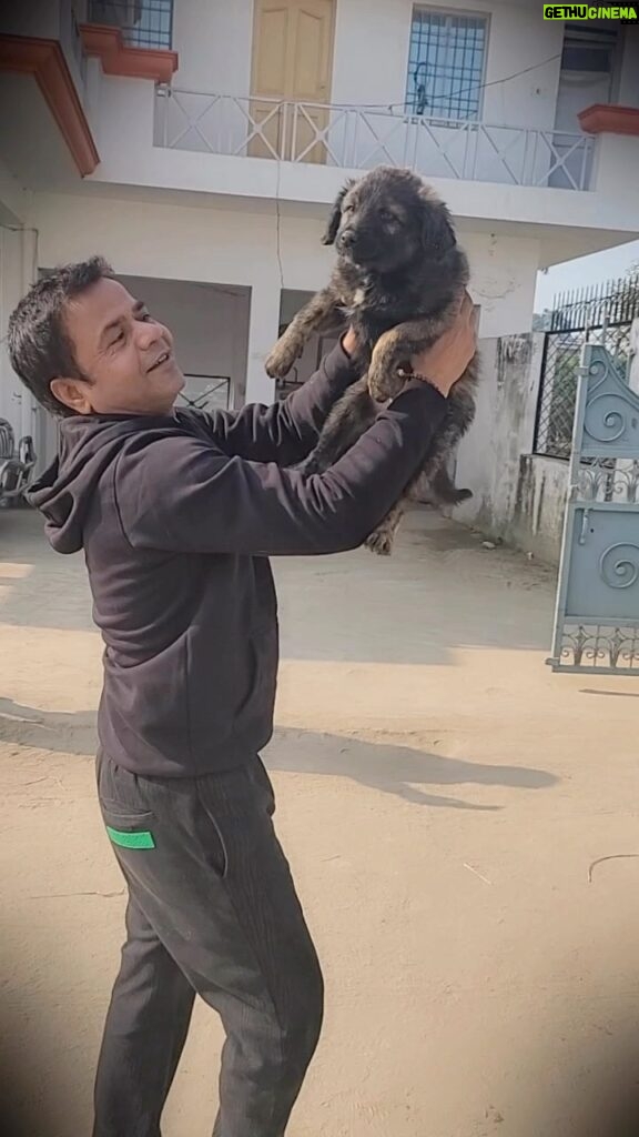 Rajpal Naurang Yadav Instagram - This is really close to my heart. I feel whole when I am around these beautiful animals and dogs really are a man’s best friend. They give so much love. The dogs shown in the video are in my hometown and wait for me and I try to see them whenever I can! ❤️ Edited by : @journo_amir @mazar_shaikh #rajpalyadav #vanityvichaar #paltulife #dogs #dogsofinstagram #doglover #petlovers #india #dogs #rajpaath #animallovers