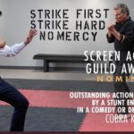 Ralph Macchio Instagram - #sagawards nomination @cobrakaiseries Outstanding Stunt Ensemble! #netflix