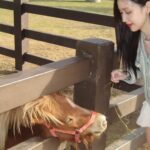 Ramida Jiranorraphat Instagram - น้อน🐴