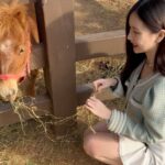 Ramida Jiranorraphat Instagram - น้อน🐴