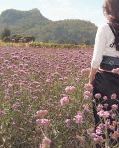 Ramida Jiranorraphat Instagram - 🌷