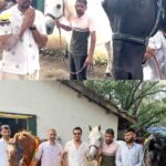 Randeep Hooda Instagram - “घोड़ा एक शस्त्र ही माना जाता है। इसीलिए विजयदशमी को घोड़ों की पूजा की जा ती है ॥” what a memorable day on #Dussehra at the stables with family and friends ..#ashwapoojan #Ranji #colossus #cupa #reelsinstagram #reelsindia #reelkarofeelkaro #horsesofinstagram #horselover #horseparent #explore Mahalaxmi Race Course