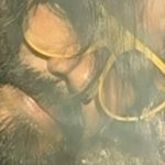 Remo D'Souza Instagram - #sexything 😊. “Ek baar selfish ho ke khud ke liye jio na”🤣🤣🤣🤣🤣🤣.