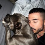 Reykon Instagram - Y si solo dormimos? MedaYork