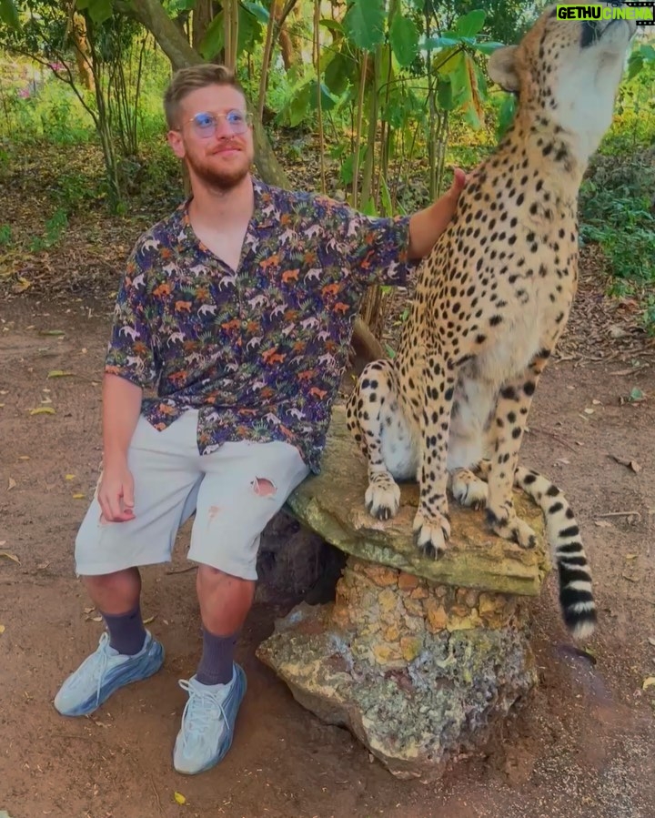 Riccardo Dose Instagram - HO RISCHIATO DI DIVENTARE IL SUO SPUNTINO PROTEICO. In assoluto uno delle esperienze più belle della mia vita. Tutti gli animali che vedete si trovano all’interno di una riserva naturale e sono stati salvati da condizioni disumane a cui l’uomo gli aveva obbligati a vivere. Come sempre le uniche BESTIE siamo noi. Zanzibar, Tanzania