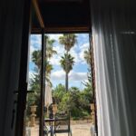 Riccardo Dose Instagram – Secondo voi sono il braccio più tamarro della Spagna? 🇪🇸 Palma De Mallorca, Spain