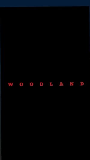 Richard Harmon Instagram - @woodlandmovie is now available to all subscribers on @amazonprimevideo! WATCH NOW! #thriller #amazonprimevideo