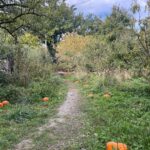 Richard Harmon Instagram - To the Patch 🎃 Southlands Heritage Farm