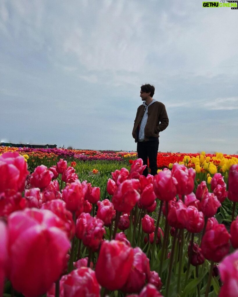 Richard Harmon Instagram - 🌷 Tulip Experience Amsterdam