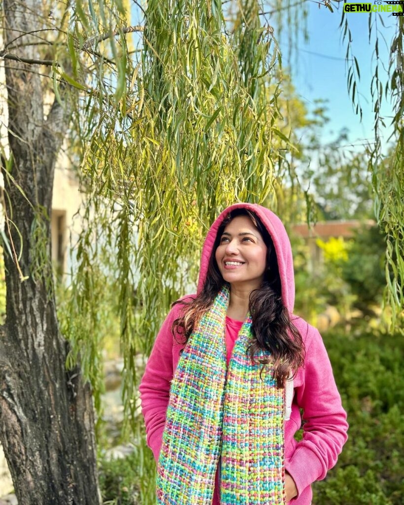 Ridheema Tiwari Instagram - Basking in Morning Hues of Serenity 🫶 @thegoldentusk 📸 : @jaskaransinghgandhi Managed by : @matsya_media PR : @pr365_pr #thegoldentusk #neveradullmoment The Golden Tusk, Jim Corbett National Park