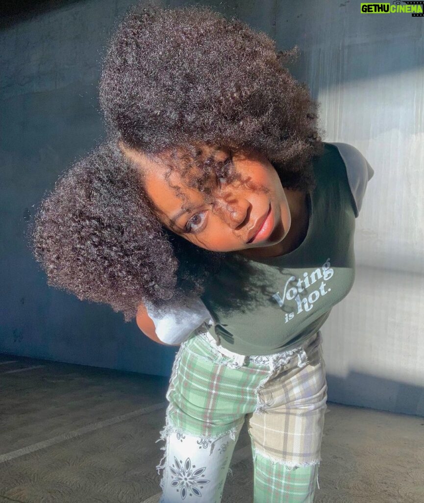 Riele Downs Instagram - listen 2 the shirt 😁 to my American friends - today’s the day!! the final day you can vote for the presidential election. PLEASE get out to the polls if you haven’t already - your vote makes a difference!! & stay safe. ♥️ if you’ve already voted or can’t, i’ll be posting some other action steps and resources on my story 🗳 #vote Election Day