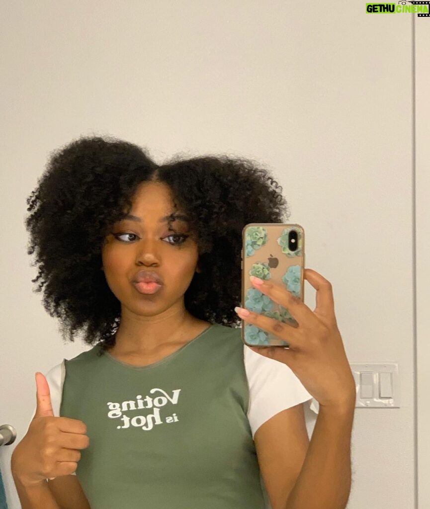 Riele Downs Instagram - listen 2 the shirt 😁 to my American friends - today’s the day!! the final day you can vote for the presidential election. PLEASE get out to the polls if you haven’t already - your vote makes a difference!! & stay safe. ♥️ if you’ve already voted or can’t, i’ll be posting some other action steps and resources on my story 🗳 #vote Election Day