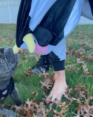 Rob Gronkowski Instagram - Had to recreate my legendary GronCOWski Halloween costume from 18 years ago🐮!!! MOO HAPPY HALLOWEEN!!!
