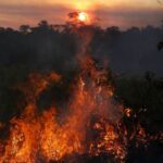 Rob Kardashian Instagram – The lungs of the earth are in flames. 20% of the earth’s oxygen is produced by the Amazon… hundreds of thousands of people call it home, as well as 3 million species of plants and animals. 🙏🏼🙏🏼 #Repost @rainforestalliance: “The lungs of the Earth are in flames. 🔥 The Brazilian Amazon—home to 1 million Indigenous people and 3 million species—has been burning for more than two weeks straight. There have been 74,000 fires in the Brazilian Amazon since the beginning of this year—a staggering 84% increase over the same period last year (National Institute for Space Research, Brazil). Scientists and conservationists attribute the accelerating deforestation to President Jair Bolsonaro, who issued an open invitation to loggers and farmers to clear the land after taking office in January.⁣
⁣
The largest rainforest in the world is a critical piece of the global climate solution. Without the Amazon, we cannot keep the Earth’s warming in check. ⁣
⁣
The Amazon needs more than our prayers. So what can YOU do?⁣
⁣
✔ As an emergency response, donate to frontline Amazon groups working to defend the forest. ⁣
✔ Consider becoming a regular supporter of the Rainforest Alliance’s community forestry initiatives across the world’s most vulnerable tropical forests, including the Amazon; this approach is by far the most effective defense against deforestation and natural forest fires, but it requires deep, long-term collaboration between the communities and the public and private sectors. Link in bio.⁣
✔ Stay on top of this story and keep sharing posts, tagging news agencies and influencers. ⁣
✔ Be a conscious consumer, taking care to support companies committed to responsible supply chains.⁣ Eliminate or reduce consumption of beef;  cattle ranching is one of the primary drivers of Amazon deforestation.
✔ When election time comes, VOTE for leaders who understand the urgency of our climate crisis and are willing to take bold action—including strong governance and forward-thinking policy.⁣
⁣
#RainforestAlliance #SaveTheAmazon #PrayForAmazonia #AmazonRainforest #ActOnClimate #ForestsResist #ClimateCrisis 📸: @mohsinkazmitakespictures / Windy.com” (via #InstaRepost @AppsKottage