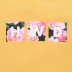 Rob Kardashian Instagram – NEW @halfwaydead live on the site WEAREHWD.COM 💀💀