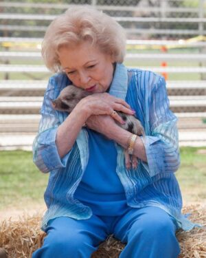 Rob McElhenney Instagram - Thank you for making me feel less alone. Thank you for giving me something to look forward to, week after week. Thank you for your phone calls disregarding our children and asking about our pets. I love you, Betty. 

Goodbye, you perfect beam of golden sunshine. ❤️ 🐶 🐱