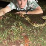 Robert Clarence Irwin Instagram – Near miss! Definitely had a good laugh with this grumpy carpet python – but great to get him reacued off the road and relocated to a much safer spot!