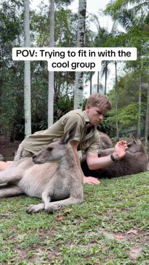 Robert Clarence Irwin Instagram - “Hey guys, don’t mind me… so uh where you from originally” 😅🥹