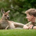 Robert Clarence Irwin Instagram – Lazy Sundays in the roo paddock 😌 Australia Zoo