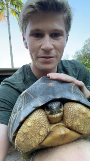 Robert Clarence Irwin Instagram - Catching up with our tortoises on my evening run, I love these guys ☺️🐢