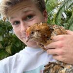 Robert Clarence Irwin Instagram – The newest members of the Irwin Family – Mochi, Cindy and Waffle the chickens… welcome to the fam, girls ☺️❤️