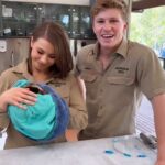 Robert Clarence Irwin Instagram – Meet one of the most special patients here at the Australia Zoo Wildlife Hospital.
