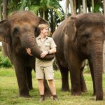 Robert Clarence Irwin Instagram – Happy #WorldElephantDay! So proud of our wonderful Sumatran elephant conservation, protecting these beauties in the wild!