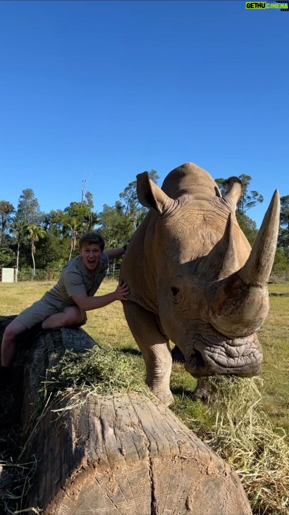 Robert Clarence Irwin Instagram - This big guy is DJ… sweetest rhino you’ll ever meet!