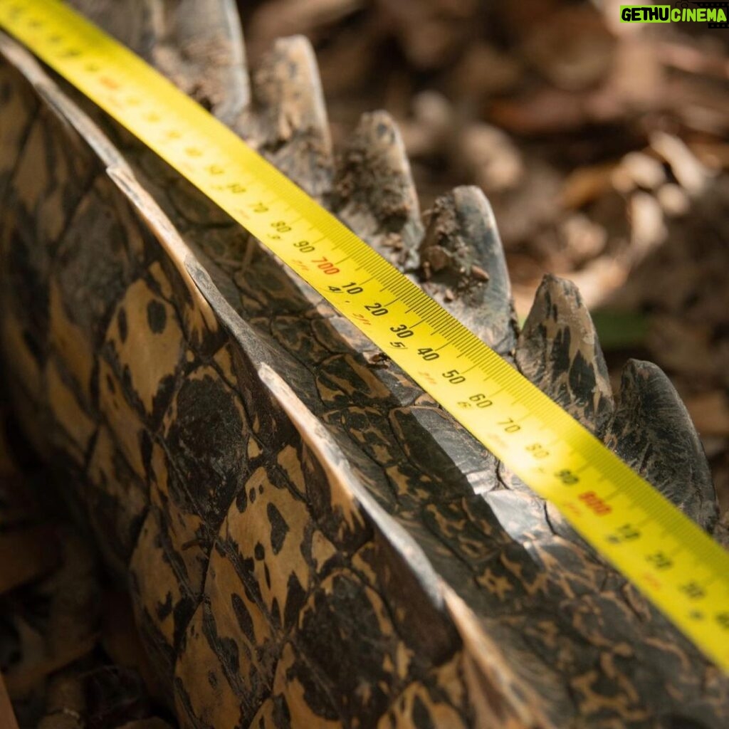 Robert Clarence Irwin Instagram - Croc trip 2023 is off to an amazing start, we have already caught new animals and are are now tracking them using incredible telemetry technology! Studying crocs in the wild is vital to the survival of the species. The more we understand the secret world of the crocodile, the more we can do to protect them.