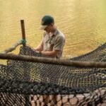 Robert Clarence Irwin Instagram – We’ve been hard at work building croc traps for our big croc research expedition to the remote Steve Irwin Wildlife Reserve. We utilise the exact same techniques my dad came up with to catch, research, and ultimately conserve crocodiles!