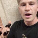 Robert Clarence Irwin Instagram - Theres been quite the rhinoceros beetle influx on my porch 😂