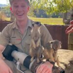 Robert Clarence Irwin Instagram – Meet our meerkat mob!