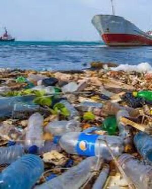 Robert Sheehan Instagram - Children of the Revolution - All 1.5 MILLION OF YE!! 💥🎗❤️ Whooop! I been learning, about our single use plastics. We’re currently on track for 9 TRILLION TONS of it to go in the ocean this year. 9 TRILLION fucking tons ?? We are poisoning our lovely little planet. And very quickly. That‘s a legacy I don’t want any more part of. It’s too soul crushing. I’m having a look at my own life and seeing what it’s costing our lovely planet. I would love to pass along our lovely planet in a healthier state than we received it. Easier said than done of course, but from now on I’m doing my little bit by - Avoiding single use plastics (as much as physically poss) - Buying from companies that have come up with lovely organic alternatives to plastic (cleaning products / food storage / water / whatever ) - Showing off occasionally for decent organisations that are trying to stem the enormous tides of poisonous waste - Signing petitions to pressurise our lovely government officials, to demonstrate to them en masse (i hope) that it’s no longer acceptable like this - I love being alive, it’s very interesting, and we are allowing convenience, to threaten our very existence and prosperity and for why ? Apathy ? There’s a million things to be concerned about these days, a lot of things vying for our attention, but with a few small small small changes, we can create a NEW NORM around how we consume, and vastly reduce the amount of unnecessary plastic we put in our oceans. Thanks, god bless and much love to ye all ❤️❤️❤️