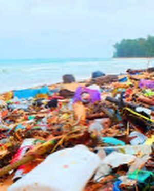 Robert Sheehan Instagram - Children of the Revolution - All 1.5 MILLION OF YE!! 💥🎗❤️ Whooop! I been learning, about our single use plastics. We’re currently on track for 9 TRILLION TONS of it to go in the ocean this year. 9 TRILLION fucking tons ?? We are poisoning our lovely little planet. And very quickly. That‘s a legacy I don’t want any more part of. It’s too soul crushing. I’m having a look at my own life and seeing what it’s costing our lovely planet. I would love to pass along our lovely planet in a healthier state than we received it. Easier said than done of course, but from now on I’m doing my little bit by - Avoiding single use plastics (as much as physically poss) - Buying from companies that have come up with lovely organic alternatives to plastic (cleaning products / food storage / water / whatever ) - Showing off occasionally for decent organisations that are trying to stem the enormous tides of poisonous waste - Signing petitions to pressurise our lovely government officials, to demonstrate to them en masse (i hope) that it’s no longer acceptable like this - I love being alive, it’s very interesting, and we are allowing convenience, to threaten our very existence and prosperity and for why ? Apathy ? There’s a million things to be concerned about these days, a lot of things vying for our attention, but with a few small small small changes, we can create a NEW NORM around how we consume, and vastly reduce the amount of unnecessary plastic we put in our oceans. Thanks, god bless and much love to ye all ❤️❤️❤️