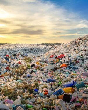 Robert Sheehan Instagram - Children of the Revolution - All 1.5 MILLION OF YE!! 💥🎗❤️ Whooop! I been learning, about our single use plastics. We’re currently on track for 9 TRILLION TONS of it to go in the ocean this year. 9 TRILLION fucking tons ?? We are poisoning our lovely little planet. And very quickly. That‘s a legacy I don’t want any more part of. It’s too soul crushing. I’m having a look at my own life and seeing what it’s costing our lovely planet. I would love to pass along our lovely planet in a healthier state than we received it. Easier said than done of course, but from now on I’m doing my little bit by - Avoiding single use plastics (as much as physically poss) - Buying from companies that have come up with lovely organic alternatives to plastic (cleaning products / food storage / water / whatever ) - Showing off occasionally for decent organisations that are trying to stem the enormous tides of poisonous waste - Signing petitions to pressurise our lovely government officials, to demonstrate to them en masse (i hope) that it’s no longer acceptable like this - I love being alive, it’s very interesting, and we are allowing convenience, to threaten our very existence and prosperity and for why ? Apathy ? There’s a million things to be concerned about these days, a lot of things vying for our attention, but with a few small small small changes, we can create a NEW NORM around how we consume, and vastly reduce the amount of unnecessary plastic we put in our oceans. Thanks, god bless and much love to ye all ❤️❤️❤️