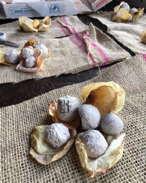 Robert Sheehan Instagram - Made seedballs! To give out this coming #fridaysforfuture in Toronto. Eeeazy peazy and good craic to make. Some potting soil, casting plaster, water and loads of native wildflower seeds and mix er all up in a big pot. Kudos to @oxr8d for the charming packaging. And you don’t have to bury JUST THROW EM! #helpthebees #pollinators