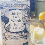 Robert Sheehan Instagram - Also from @gillbooks, who published my book, Manchán Magan’s absolute BANGER - Thirty-Two Words for Field. An exploration of the environment and magic-based language of Irish. To all, not just Irish people, I’d recommend. It’s such a valuable repository of knowledge and a deeply emotional and enriching learning experience. Cheers Manchán 💚 Link to buy this as a gift for someone is in my Story ting. Roibeáird Ó Síocháin is ainm fíor dom The World