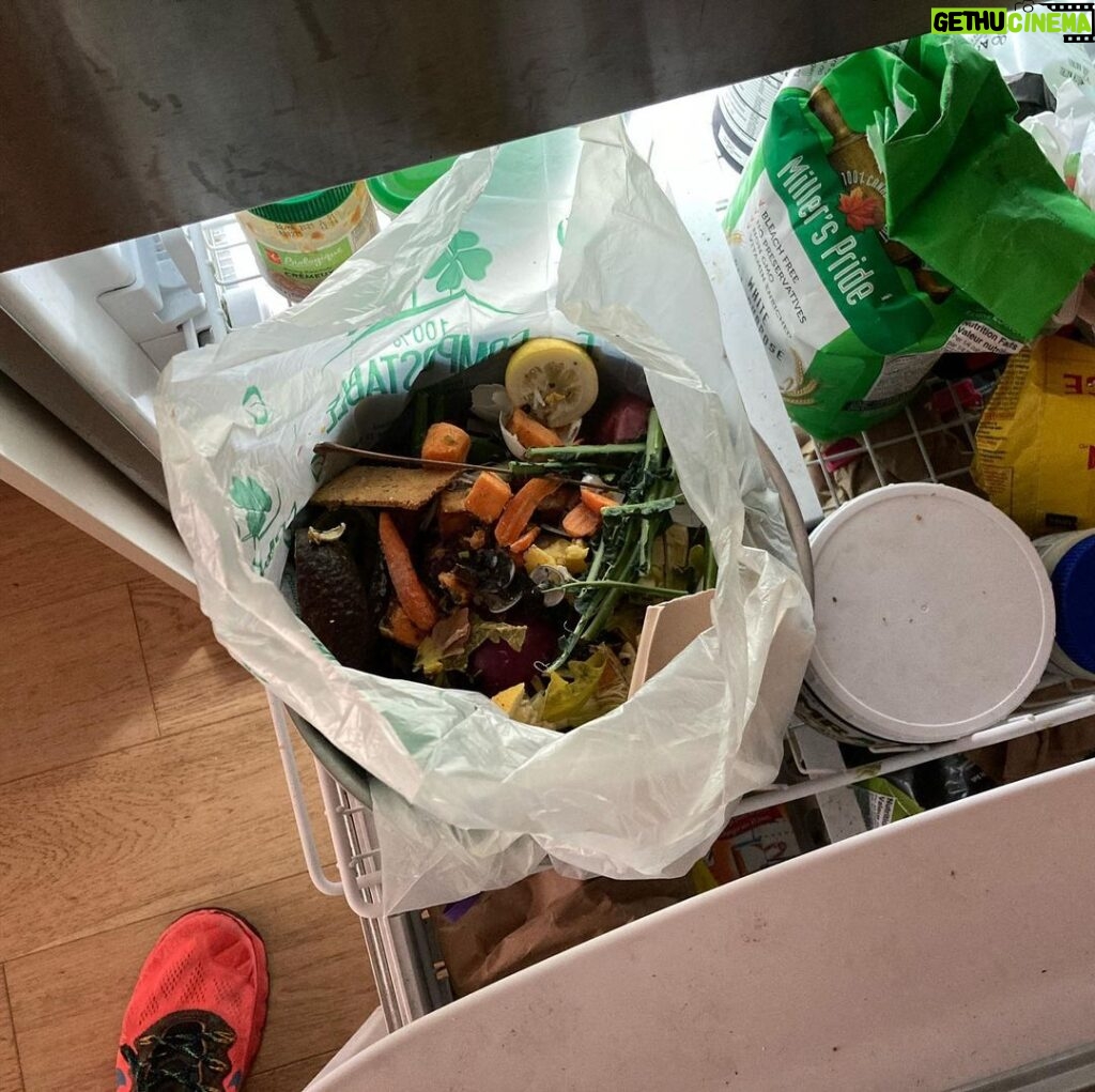 Robert Sheehan Instagram - Hello, So here’s a little update on my zero waste mish. It’s been about since August(ish), when I started getting my main shop at zero waste markets. At first it felt jarring and labour intensive, to have to bring bags and containers and fill them up at the shop, but now it feels habitual. Food shopping has become a more interesting experience, and my appetite to try new things has increased. Plus, it compels me to eat healthier, and eat healthier versions of unhealthy stuff. So that’s (little to) no single use plastic waste from my food shop. At work shooting Umbrella, I avoid single use plastics by leaving my reusable cup (for tea / coffee) there, and some nice cutlery in a drawer (far more pleasant to than eating with a crappy plastic fork that snaps on a cold carrot). So that’s no daily disposable cups / cutlery. I bring some bottles of dressingg Production have kindly made sure we all eat lunch / breakfast from compostable or cardboard containers. At home, I do the organic waste bin in the freezer technique (picture). Lemon peels, teabags and eggshells (eggshells are great for crushing up and putting straight in your plant pots). Gratefully, Toronto city do a curbside food waste collection service, so my scraps either become compost for more growing, or are fed into an anaerobic digester and harnessed for energy. That offsets the need for more oil and natural gas. Toronto’s aim in the future is to refine their process to the point where our food waste keeps us all warm. If I get takeout - now this isn’t 100% of the time, sometimes I get deliveries - I bring my containers to the restaurant and they put the food in those. Again, at first it felt very alien and cumbersome to be lugging lunchboxes to my local restaurant in a bag, but from the familiar expression on the restauranteur’s face behind the counter, I realised I wasn’t the only one. Far from it. Lots of people are doing this to avoid half-a-bin’s worth of unnecessary single use plastic or styrofoam sitting in their bin after their dinner. You can also filter your Uber eats searches to show takeout restaurants that are committed to compostable / sustainable packaging (Continued in comments...) Planet Earth