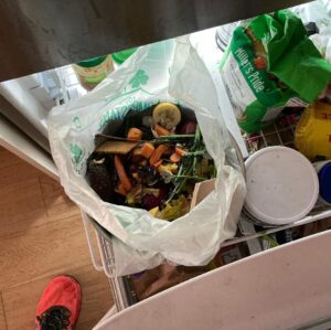 Robert Sheehan Instagram - Hello,
So here’s a little update on my zero waste mish.
It’s been about since August(ish), when I started getting my main shop at zero waste markets. 
At first it felt jarring and labour intensive, to have to bring bags and containers and fill them up at the shop, but now it feels habitual. Food shopping has become a more interesting experience, and my appetite to try new things has increased. 
Plus, it compels me to eat healthier, and eat healthier versions of unhealthy stuff. So that’s (little to) no single use plastic waste from my food shop.

At work shooting Umbrella, I avoid single use plastics by leaving my reusable cup (for tea / coffee) there, and some nice cutlery in a drawer (far more pleasant to than eating with a crappy plastic fork that snaps on a cold carrot).
So that’s no daily disposable cups / cutlery. I bring some bottles of dressingg
Production have kindly made sure we all eat lunch / breakfast from compostable or cardboard containers.

At home, I do the organic waste bin in the freezer technique (picture). Lemon peels, teabags and eggshells (eggshells are great for crushing up and putting straight in your plant pots). 
Gratefully, Toronto city do a curbside food waste collection service, so my scraps either become compost for more growing, or are fed into an anaerobic digester and harnessed for energy. That offsets the need for more oil and natural gas. Toronto’s aim in the future is to refine their process to the point where our food waste keeps us all warm.

If I get takeout - now this isn’t 100% of the time, sometimes I get deliveries - 
I bring my containers to the restaurant and they put the food in those. Again, at first it felt very alien and cumbersome to be lugging lunchboxes to my local restaurant in a bag, but from the familiar expression on the restauranteur’s face behind the counter, I realised I wasn’t the only one. Far from it. Lots of people are doing this to avoid half-a-bin’s worth of unnecessary single use plastic or styrofoam sitting in their bin after their dinner. 

You can also filter your Uber eats searches to show takeout restaurants that are committed to compostable / sustainable packaging (Continued in comments...)