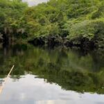 Rodrigo Santoro Instagram - Nem mil imagens traduziriam essa expedição na Amazônia. É preciso estar aqui pra ouvir os sons da natureza, compreender os seus caminhos e a sua forma de vida. Muitas raízes e histórias pra contar. Passar esses dias aprendendo em um dos nossos maiores patrimônios foi muito significativo.