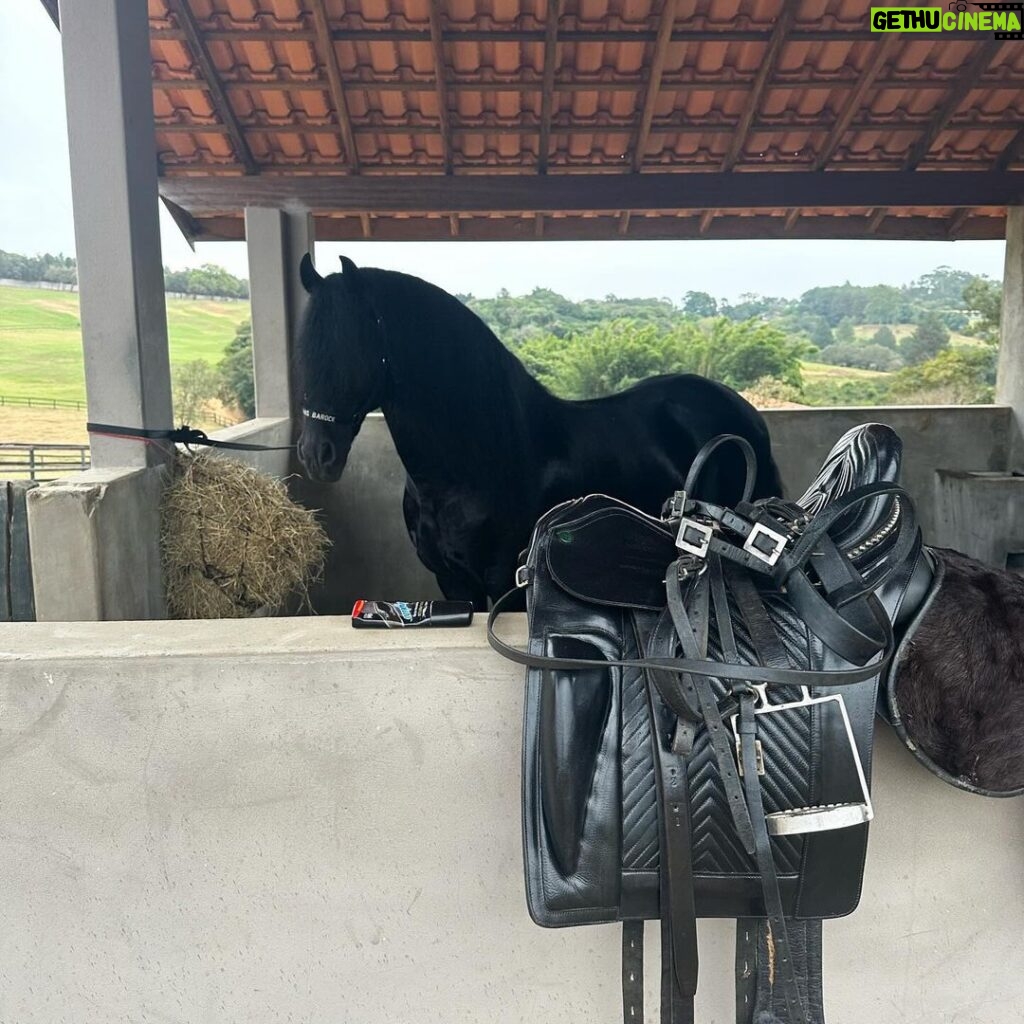 Rodrigo Santoro Instagram - Falta UMA SEMANA pra estreia de #BomDiaVerônica Estão prontos?🐎