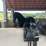 Rodrigo Santoro Instagram - Falta UMA SEMANA pra estreia de #BomDiaVerônica Estão prontos?🐎