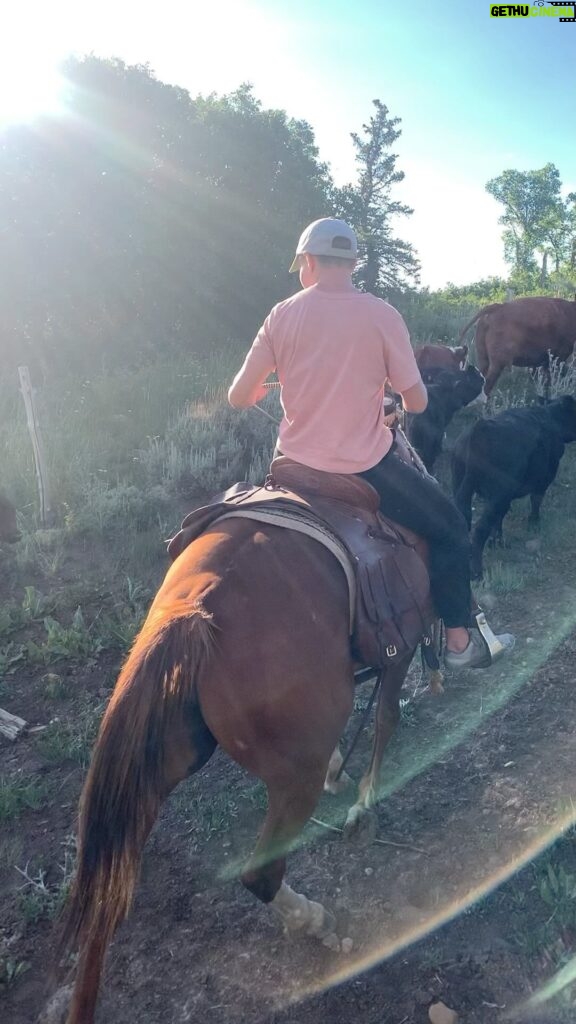 Rose Namajunas Instagram - Cow herding @uncompahgre_farms 👩‍🌾🥳 they make the best beef products!! They roam and munch on all this beautiful land and grass!!!